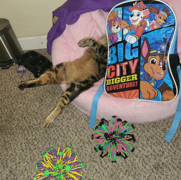 Meet your Posher, Holly - Picture 9 of 10